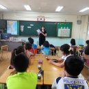 완월초등학교 Daum카페