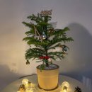 사계절꽃집 이미지