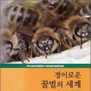 경이의세계 이미지