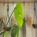 문동4길 이미지