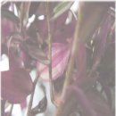 미래음악학원 이미지