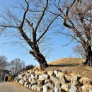 읍내8통마을회관 이미지