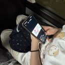 서천목욕탕 | 어떻게 살아?