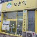 뽀송뽀송애견놀이방 | [여수 문수동 강아지 미용] 편안한 분위기의 애견미용실, 새로 생긴 '뽀송댕' 다녀왔어요. 🐶