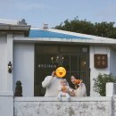 한라사진관 네이버블로그