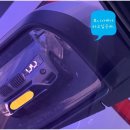 포니카센타 이미지