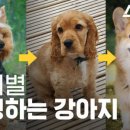 유행따라