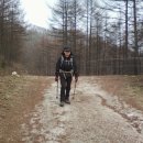 저수령 목장 이미지