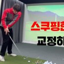 TG골프아카데미 이미지