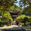 책속의죽비소리 - (1509) 친구가 변했어요/ 법륜 스님 이미지