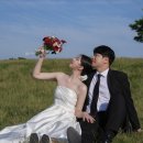 다소니네일 - 순천시 비봉2길 3-30 | W14. 부산 웨딩촬영 다소니스냅 을숙도 다대포해수욕장 렌탈스튜디오