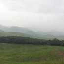 송중목장 Daum카페