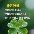 좋은하루 Daum카페