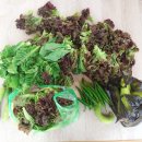 이재형농장 이미지