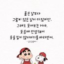 🌼🌷🌼6월 13일(음력 4월 28일) 戊午 토요일 이미지