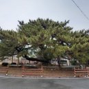 옥산리 매표소 네이버블로그