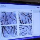 닥터스칼프 신촌점 | 일상 블로그 | 생애 처음으로 두피관리를 받다._ 닥터스칼프 신촌홍대점