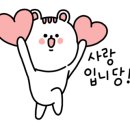 퓨로클린 이미지