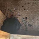 희승자원 이미지