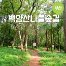인제테니스장 | 걷기 좋은 명품 숲길로 선정된 부산 산책로 백양산나들숲길 꽃내음길