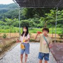 진악산오토캠핑장 이미지