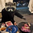 다온숲 | 세종 다온숲 글램핑장 방문 후기