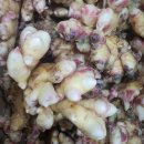 자연대로 이미지