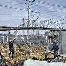 차량골농원 이미지