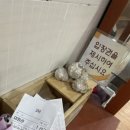 동양한증막 이미지