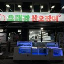 오대감산오징어 이미지