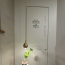 스테이숲이되는시간 | 스테이 숲이 되는 시간 | 제주도 서귀포 감성 숙소 | 산방산 뷰 | 내 돈 내산