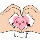 카엔조이 Daum카페