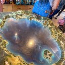 크레이터 | 미국 포틀랜드 근교 여행 | 크레이터 레이크 국립공원 후기 Crater Lake