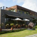 베니실제 이미지