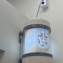 캣푸치노 이미지