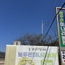 늘푸른집 | 양산 원동 미나리 삼겹살 먹으러 다녀온 늘푸른청정미나리농원