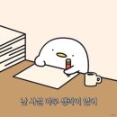 1825 | [D+1,825] 입사 5주년 후기
