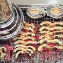 산호대로-19 이미지