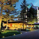 용평보건지소 | 평창호텔 // 용평 리조트 드래곤 벨리 호텔 (Yongpyong Resort Dragon Valley Hotel)