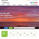 제주관광정보센터 이미지