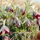 노래공원 이미지