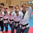 고려체대태권도 이미지