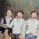 수원고등학교 Daum카페