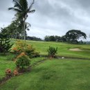 필리핀 마닐라 자유여행 VIP 골린 편한 골프 3색 54홀 3박 4/5일 이미지