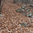 서대산드림리조트 이미지