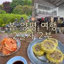 맥주창고자이안트스텝 | [봄 양평 여행 2일차 2부] 맛있는 냉면과 옷구경으로 마무리 (들꽃치유정원, 옥천냉면 황해식당, 아워...