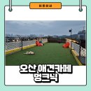 멍크닉 | 오산 애견 카페 추천 - 알고보면 오산 맛집 멍크닉 다녀온 후기