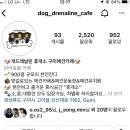 개드레날린휴개소 이미지