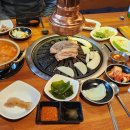 돼바라기 - 북구 동대8길 15 | 돼바라기
