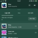 stay 올랑올랑